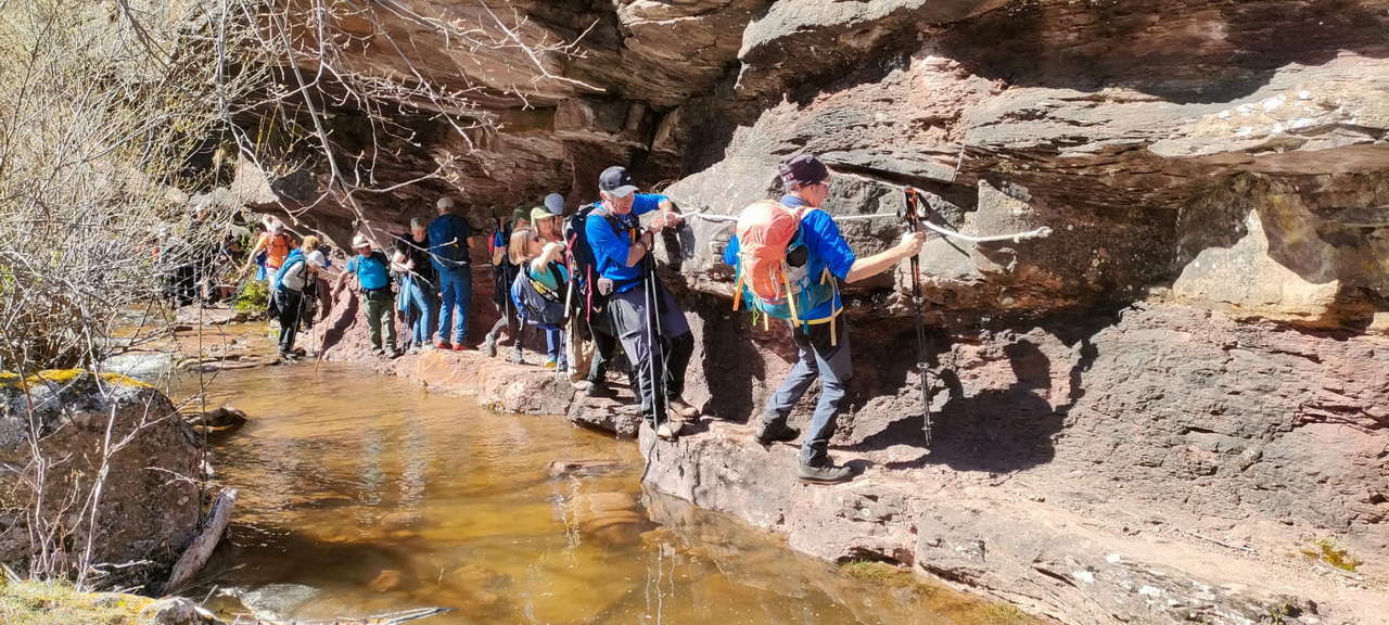 WhatsApp Image 2026-04-08 at 07.40.56 (7)